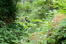 Olympic park Holiday